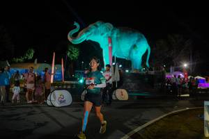 BIB: 
                            <button type="button" onclick="openModal(26552365)" class="btn btn-primary btn-sm float-right btn-popup" data-toggle="modal" data-target=".modal-high-quality">
                        <i class="fas fa-shopping-cart"></i> Add to Cart
                    </button>
                                            <button type="button" onclick="isThisMe(26552365, true)" class="btn btn-success btn-sm float-right btn-popup btn-isme hidden" data-toggle="tooltip" data-placement="bottom" title="นี่คือรูปของคุณใช่ไหม คลิกที่นี่เพื่อเอาเข้าอัลบั้ม">
                        <i class="fas fa-plus"></i> Add to album
                    </button>
                    <button type="button" onclick="isThisMe(26552365, false)" class="btn btn-warning btn-sm float-right btn-popup btn-isnotme hidden">
                        <i class="fas fa-ban"></i> Remove from album
                    </button>